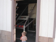 Riley Walks into the Barn